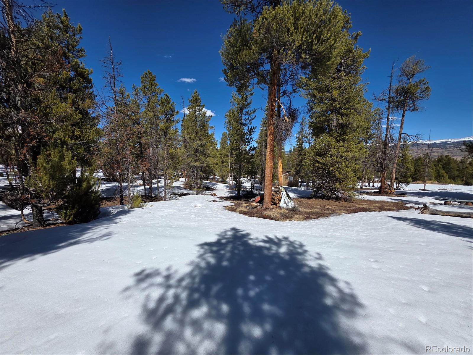 379 Lodgepole Drive Twin Lakes CO 81251