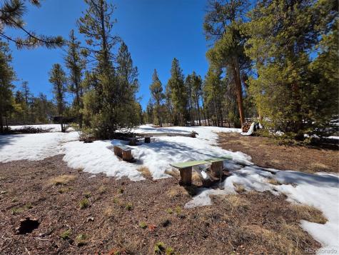 379 Lodgepole Drive Twin Lakes CO 81251