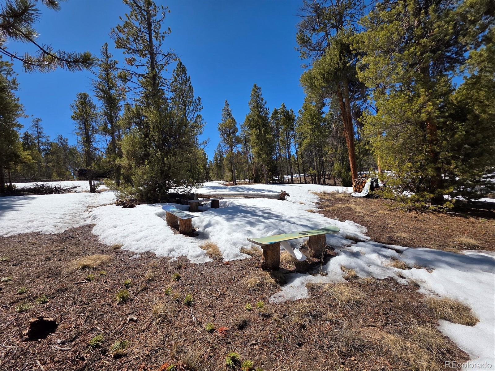 379 Lodgepole Drive Twin Lakes CO 81251