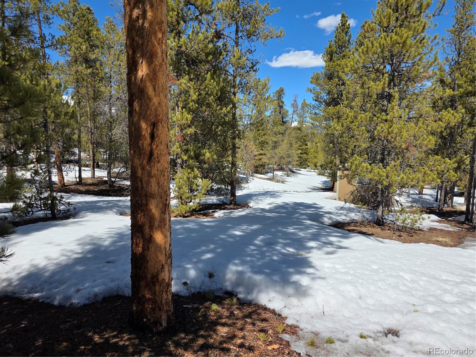 379 Lodgepole Drive Twin Lakes CO 81251