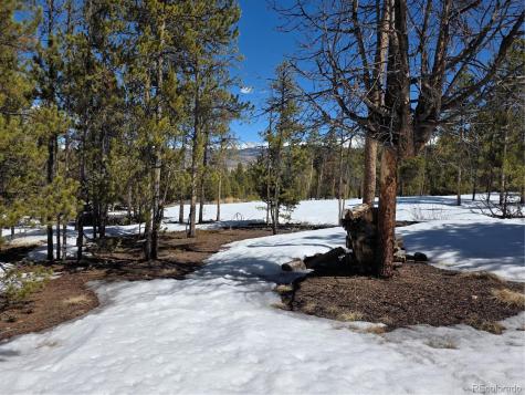 379 Lodgepole Drive Twin Lakes CO 81251