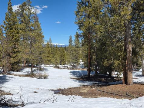 379 Lodgepole Drive Twin Lakes CO 81251