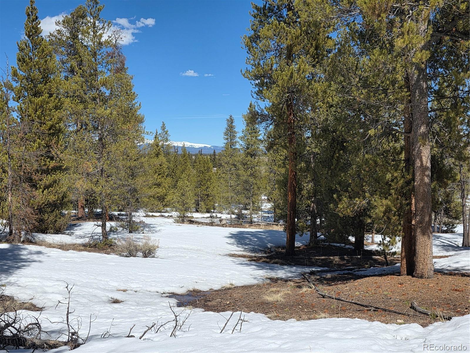 379 Lodgepole Drive Twin Lakes CO 81251