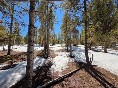 379 Lodgepole Drive Twin Lakes CO 81251