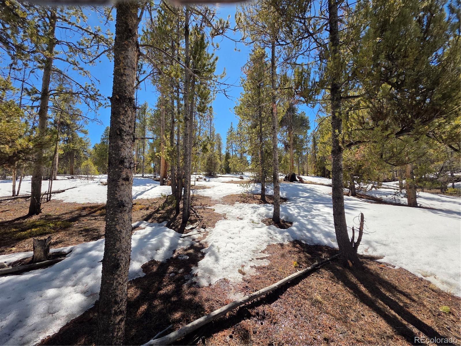 379 Lodgepole Drive Twin Lakes CO 81251