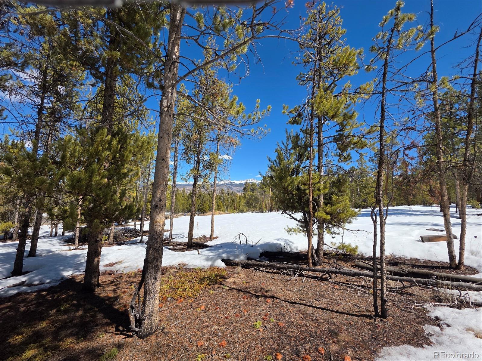 379 Lodgepole Drive Twin Lakes CO 81251