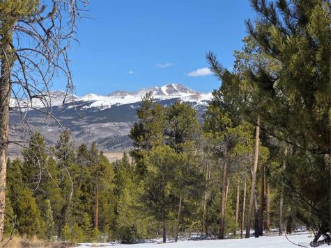 379 Lodgepole Drive Twin Lakes CO 81251