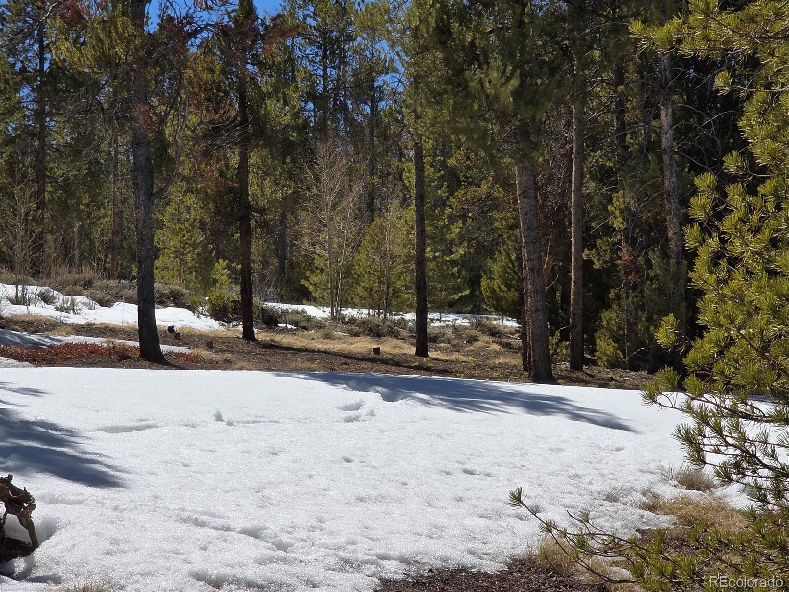 379 Lodgepole Drive Twin Lakes CO 81251