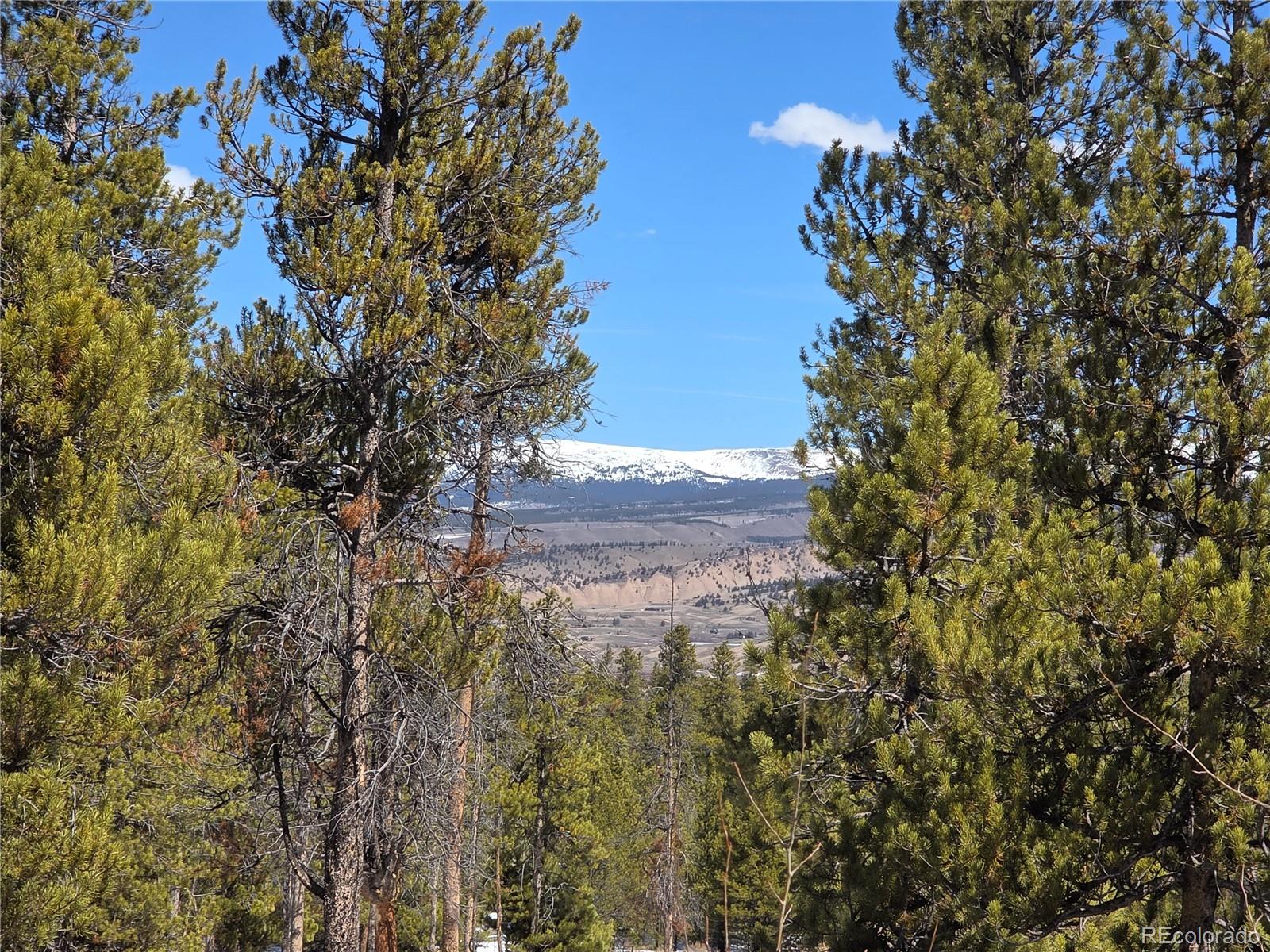 379 Lodgepole Drive Twin Lakes CO 81251
