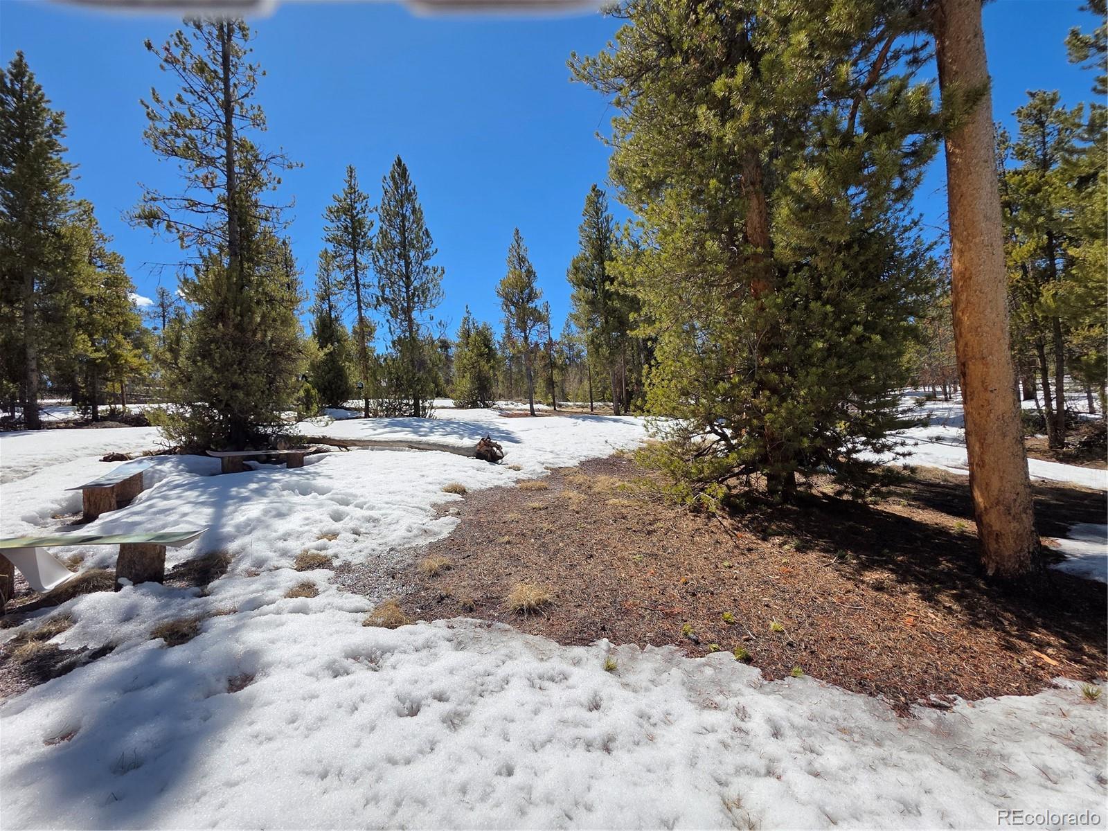 379 Lodgepole Drive Twin Lakes CO 81251