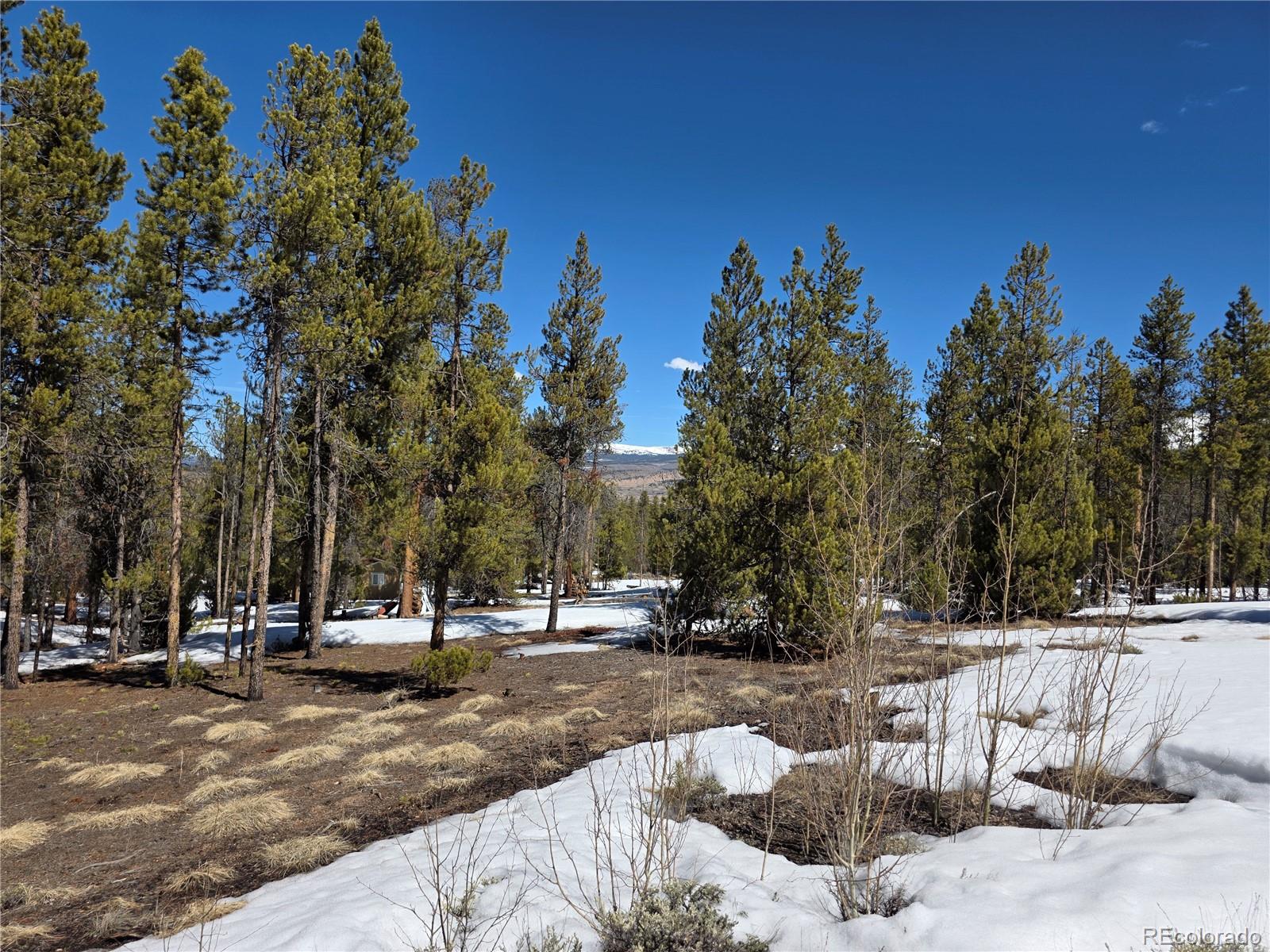 379 Lodgepole Drive Twin Lakes CO 81251