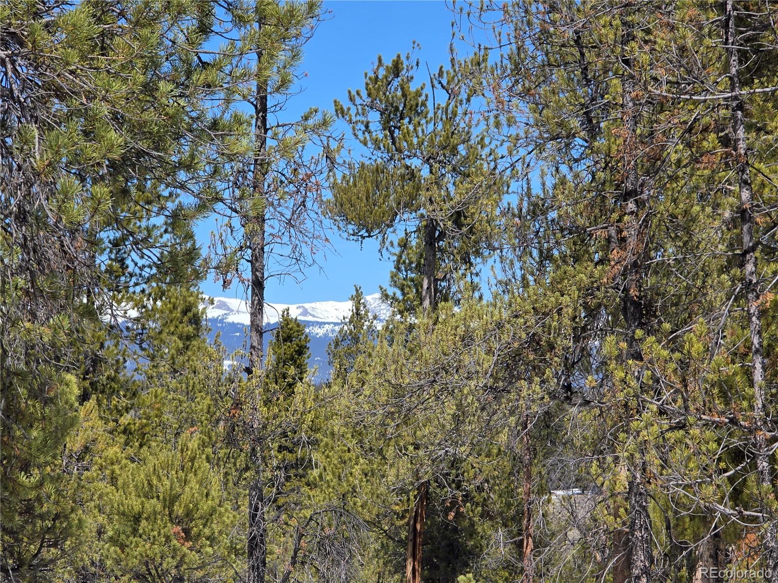379 Lodgepole Drive Twin Lakes CO 81251