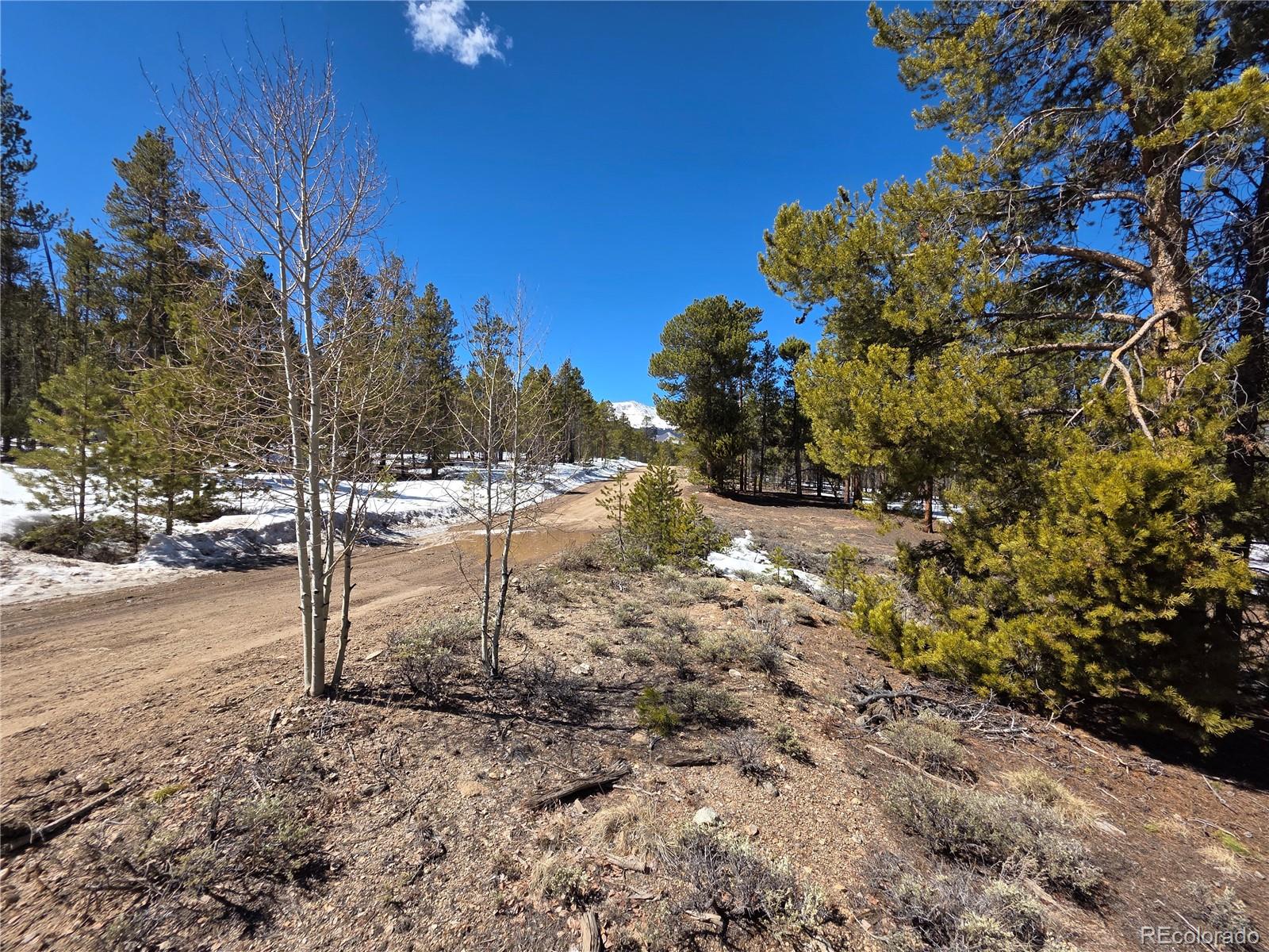 379 Lodgepole Drive Twin Lakes CO 81251