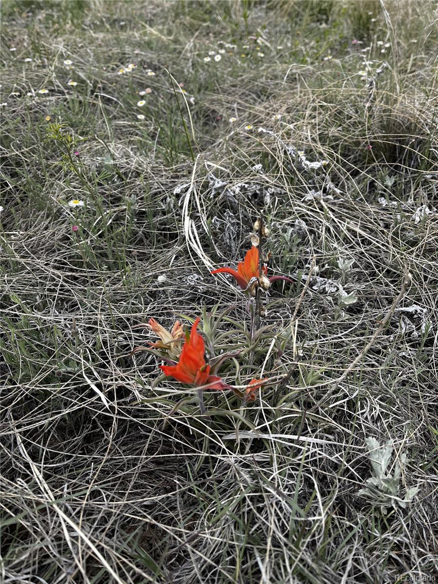 Lot 142 Tbd Fort Gerry Drive Colorado City CO 81019