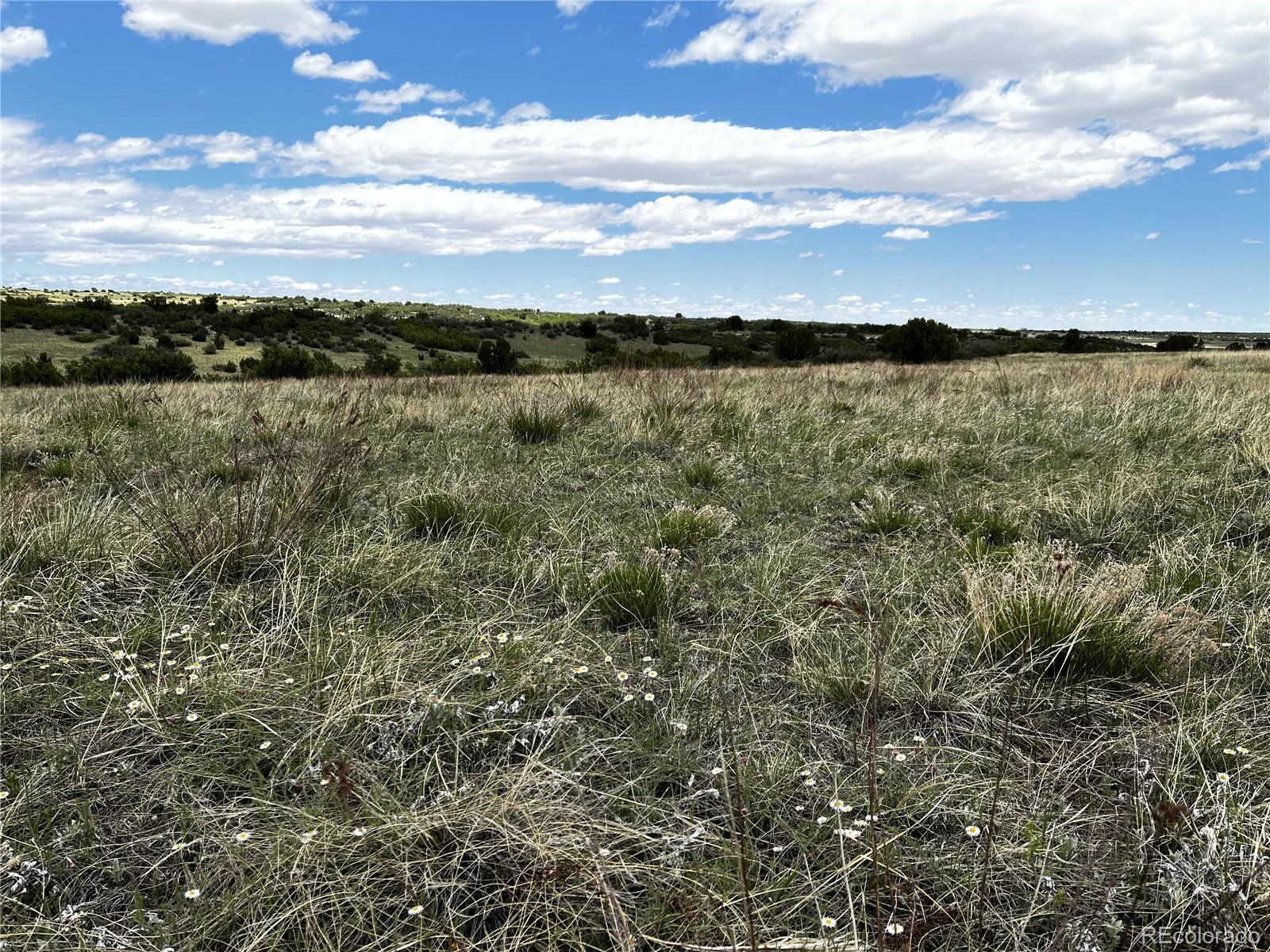 Lot 142 Tbd Fort Gerry Drive Colorado City CO 81019