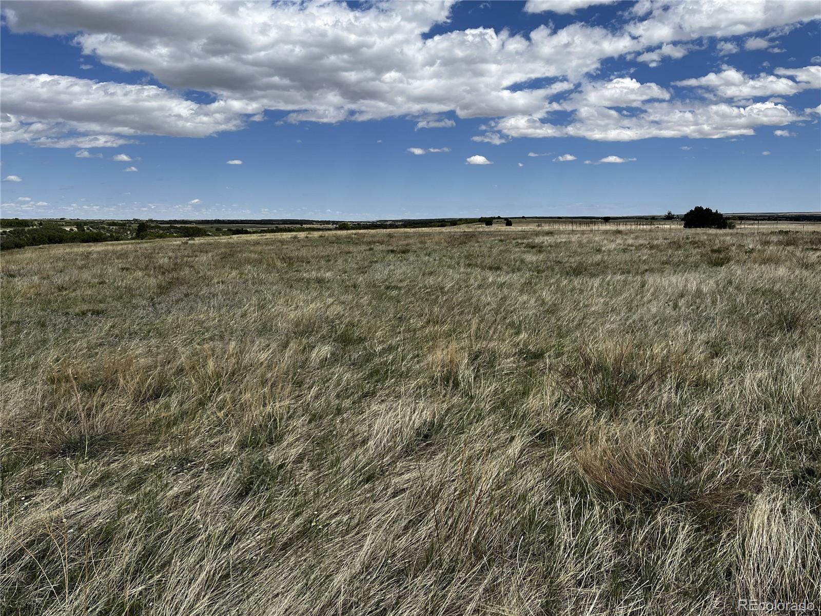 Lot 142 Tbd Fort Gerry Drive Colorado City CO 81019