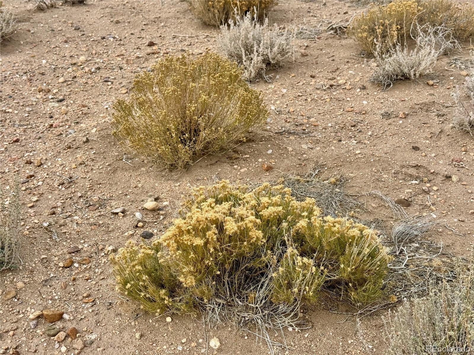 Lot 2 15th Street Blanca CO 81123