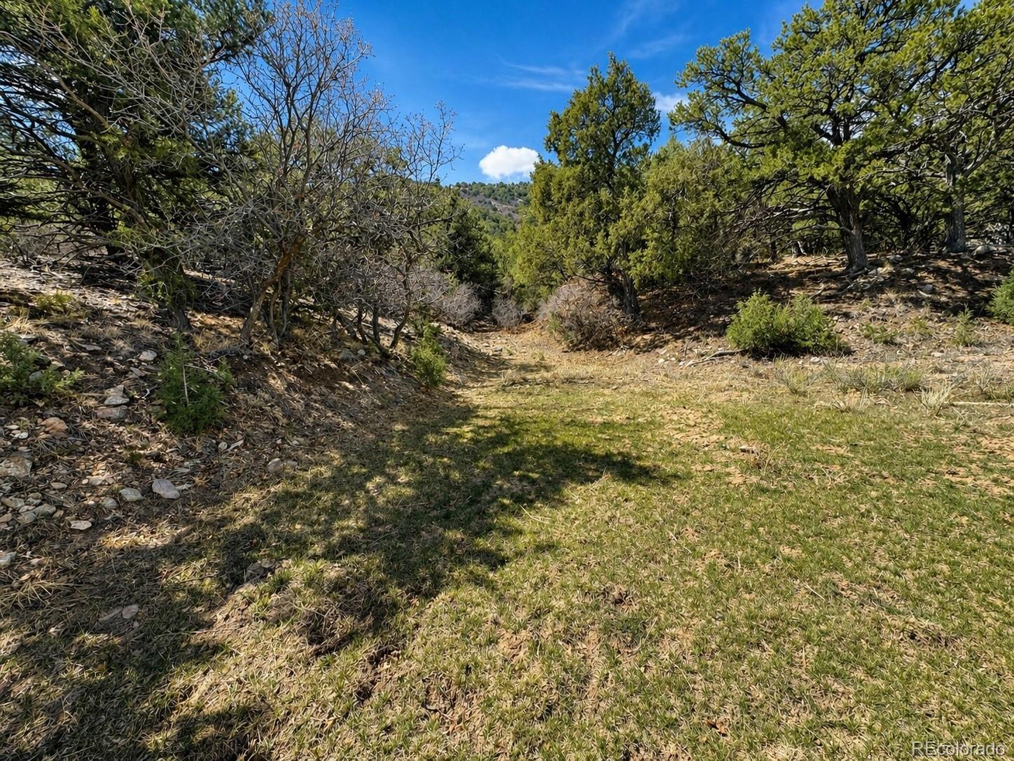 Tbd - Lot 36 Corral N Texas Creek CO 81223