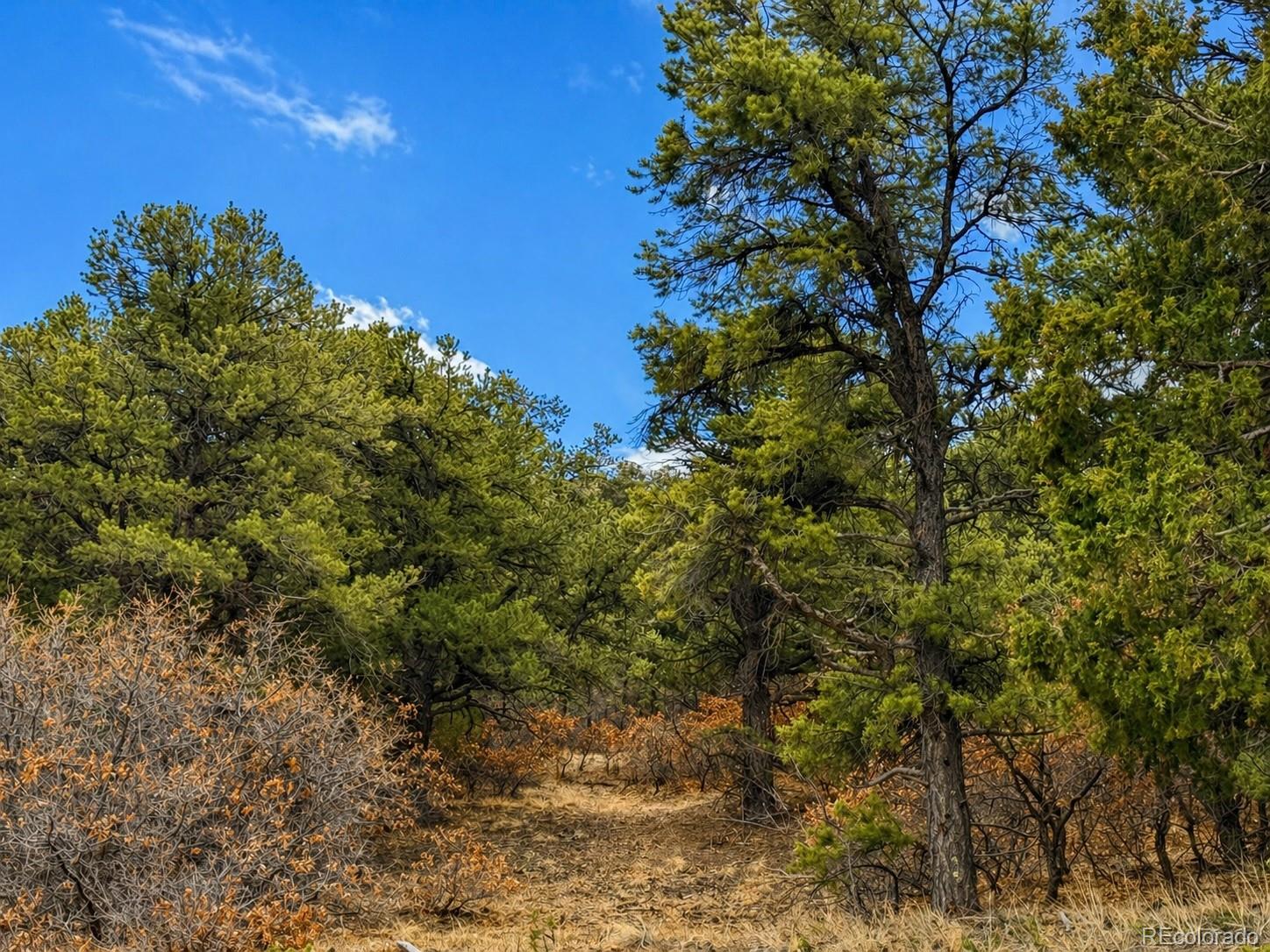 Tbd - Lot 36 Corral N Texas Creek CO 81223