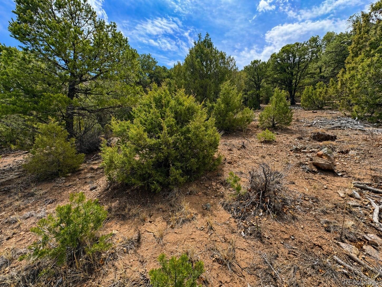 Tbd - Lot 36 Corral N Texas Creek CO 81223