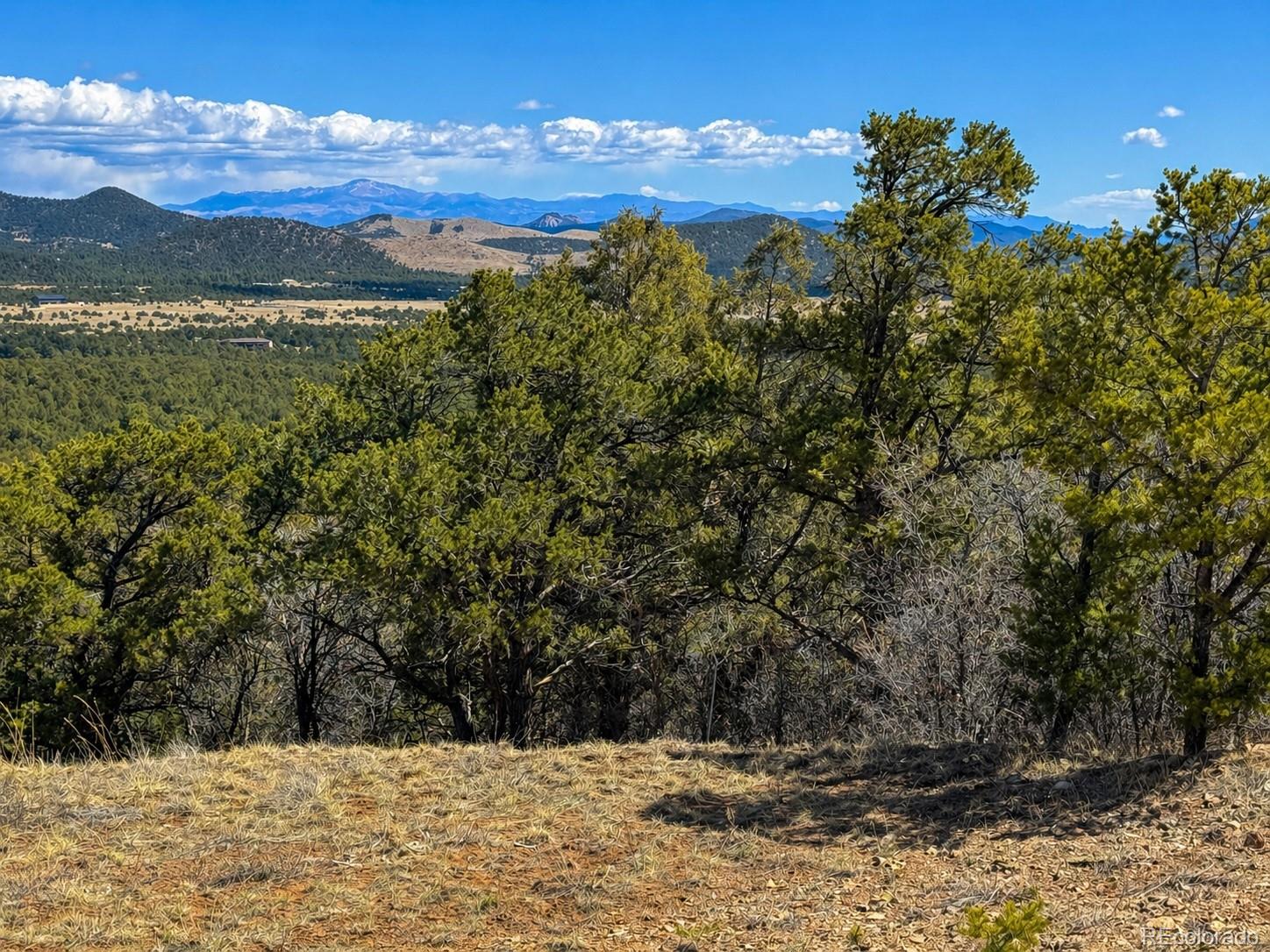 Tbd - Lot 36 Corral N Texas Creek CO 81223