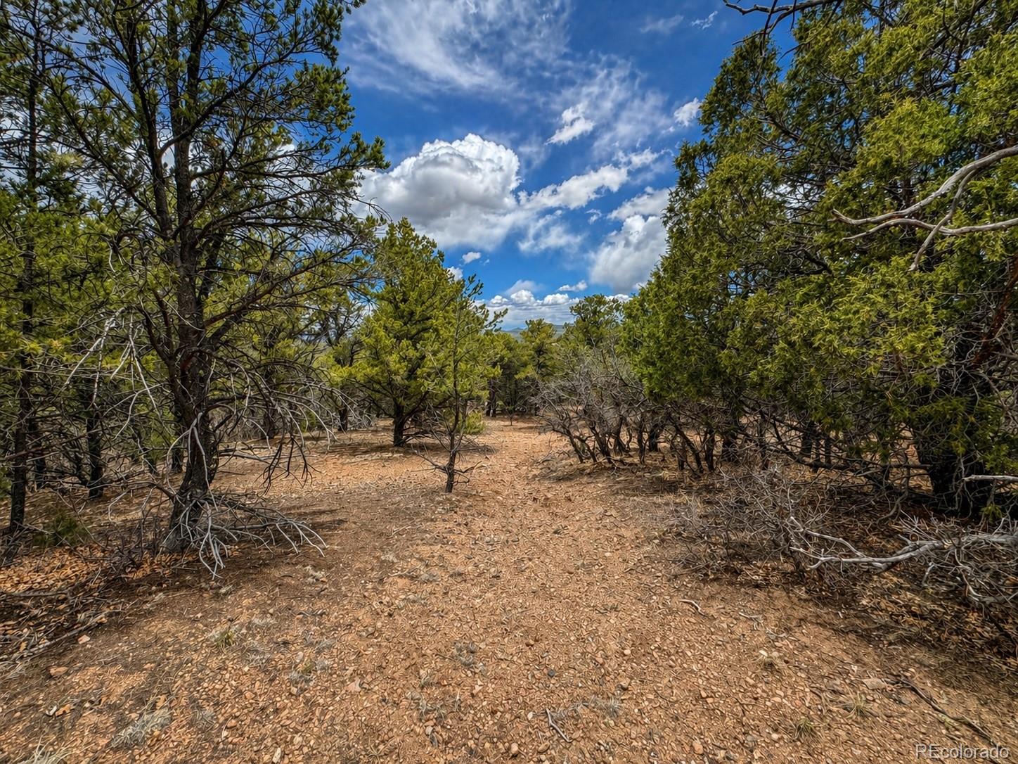 Tbd - Lot 36 Corral N Texas Creek CO 81223