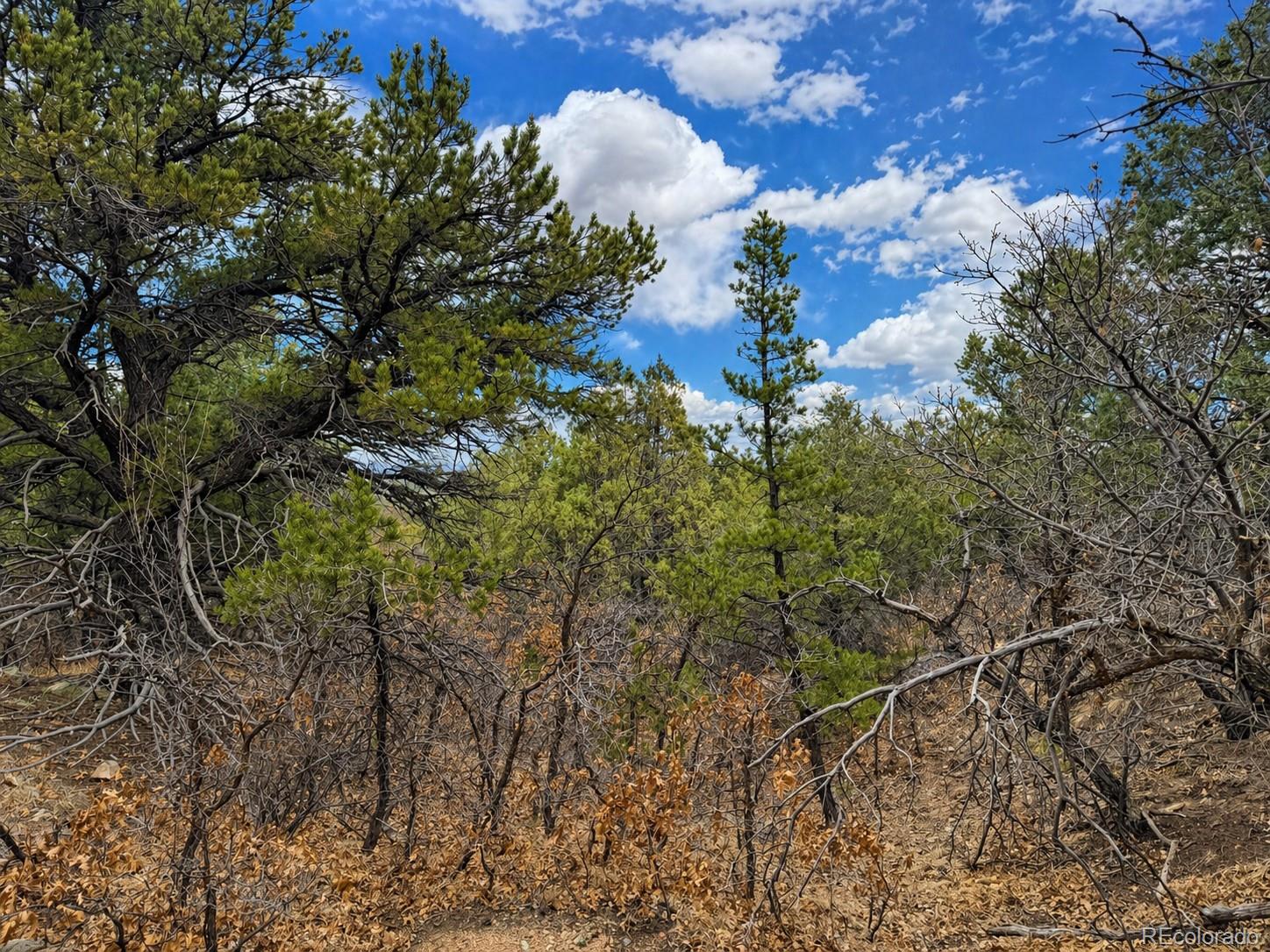Tbd - Lot 36 Corral N Texas Creek CO 81223