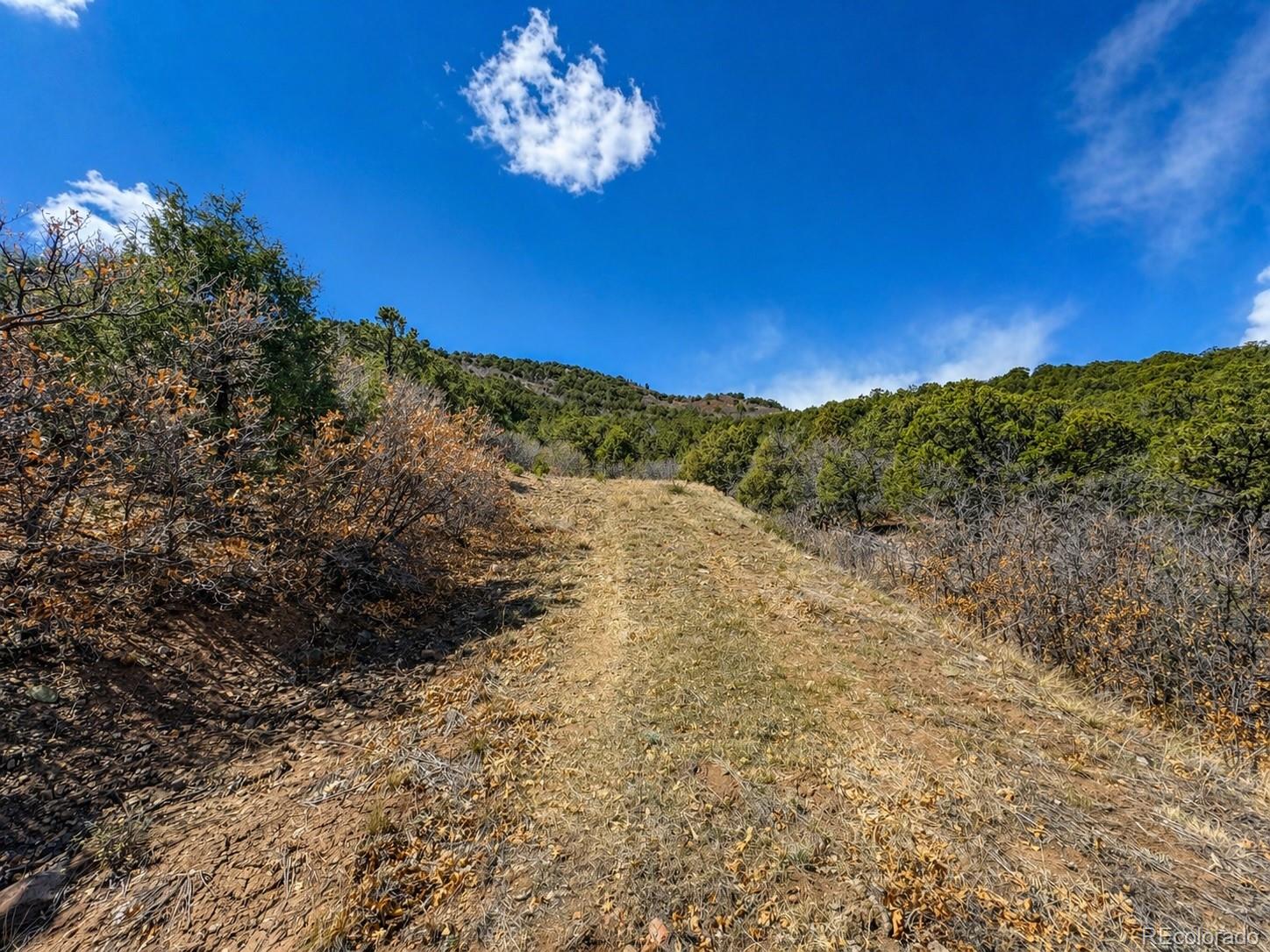 Tbd - Lot 36 Corral N Texas Creek CO 81223