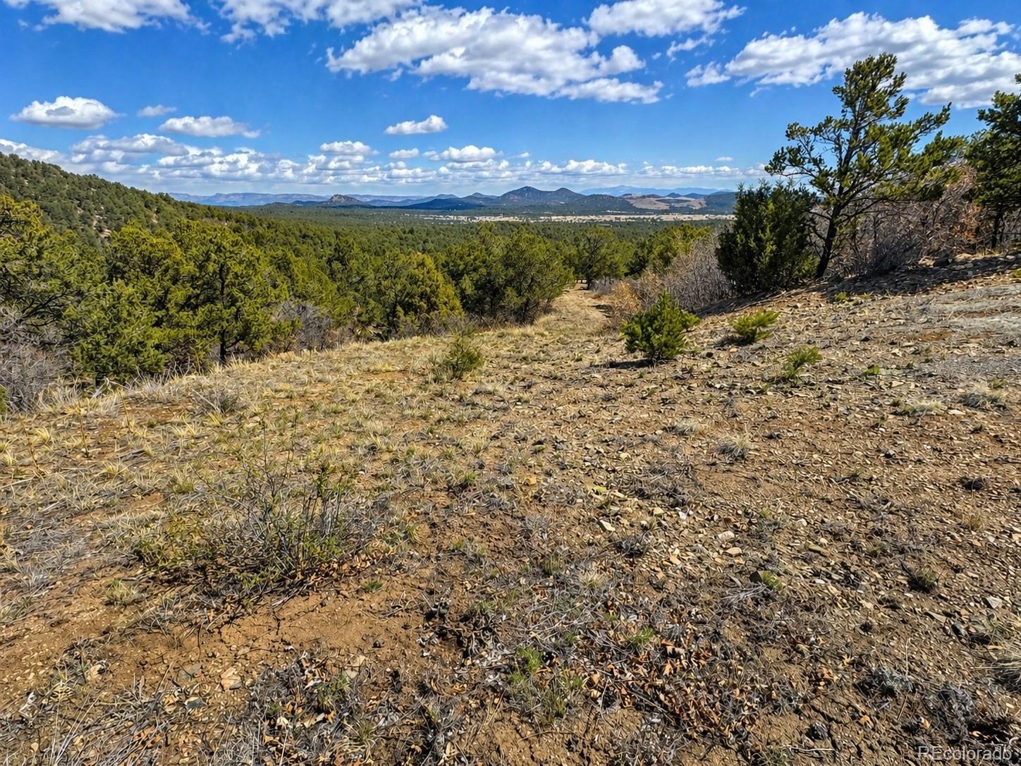 Tbd - Lot 36 Corral N Texas Creek CO 81223