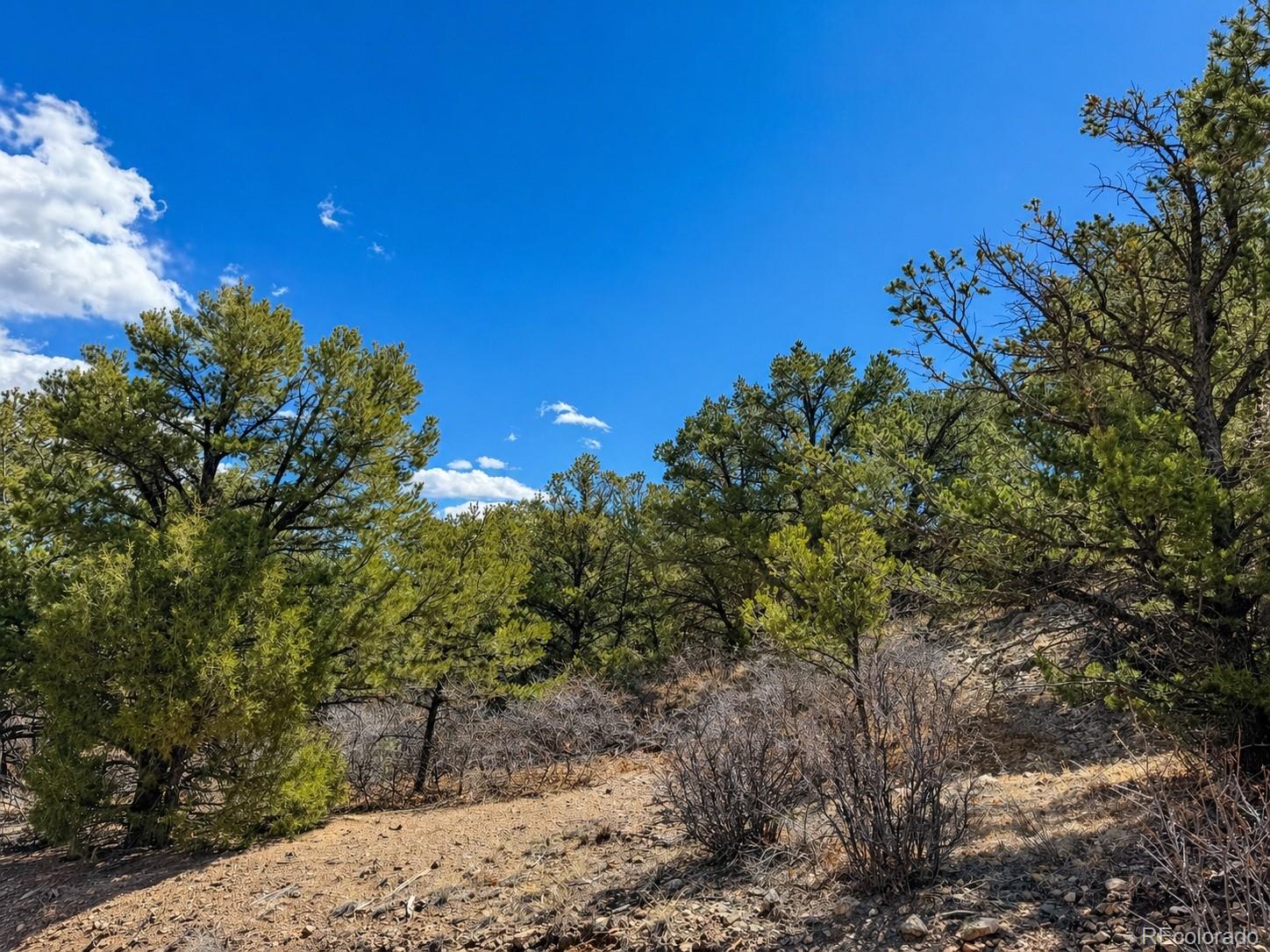 Tbd - Lot 36 Corral N Texas Creek CO 81223