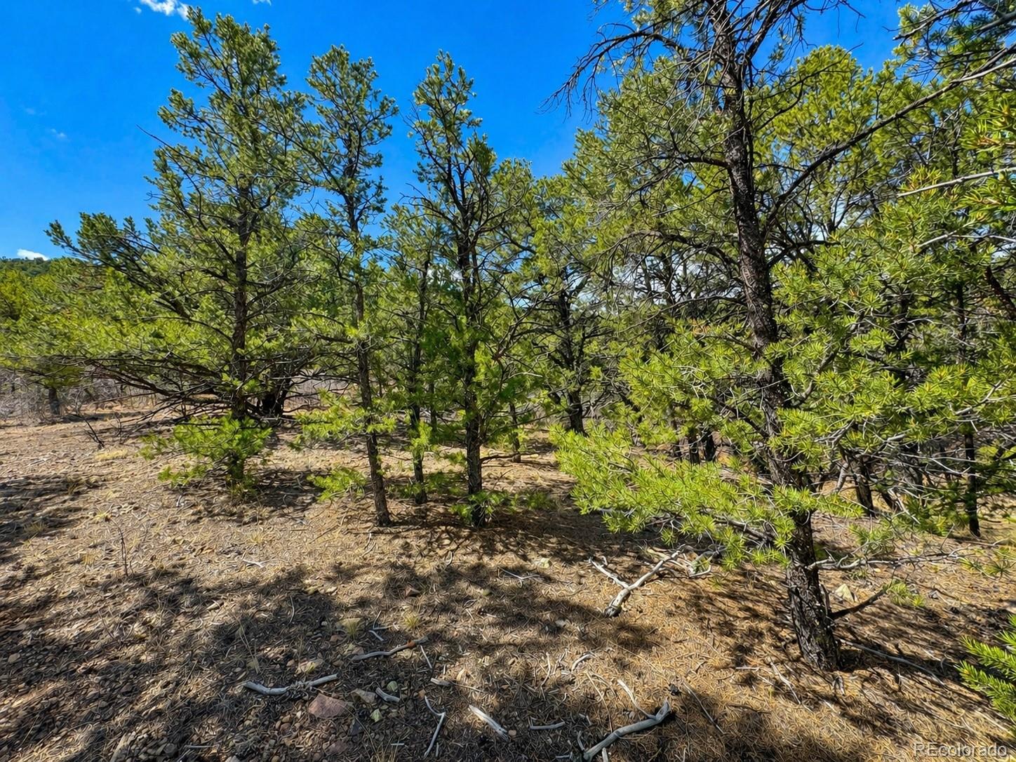 Tbd - Lot 36 Corral N Texas Creek CO 81223
