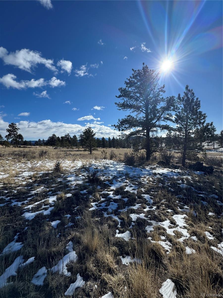 861A State Highway 24 Lake George CO 80827