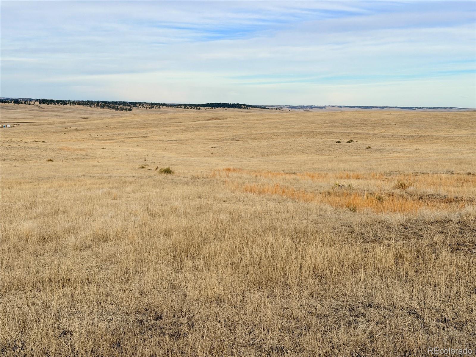 04 County Road 122 Ramah CO 80832