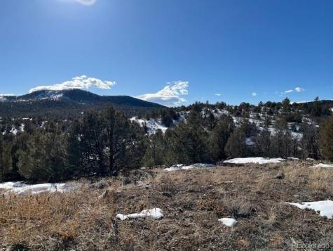 3500 Indian Wells Road Texas Creek CO 81223