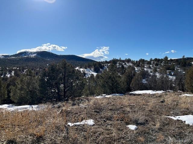 3500 Indian Wells Road Texas Creek CO 81223