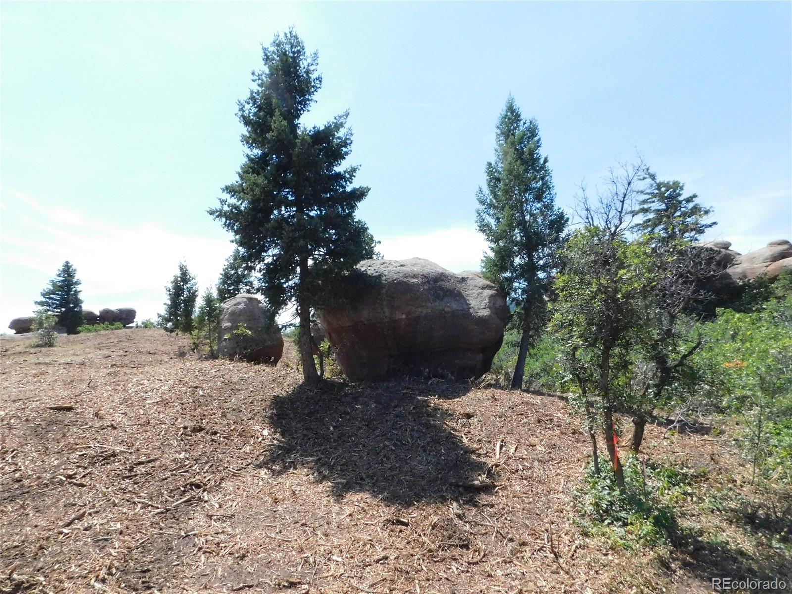 6382 Country Club Drive Larkspur CO 80118
