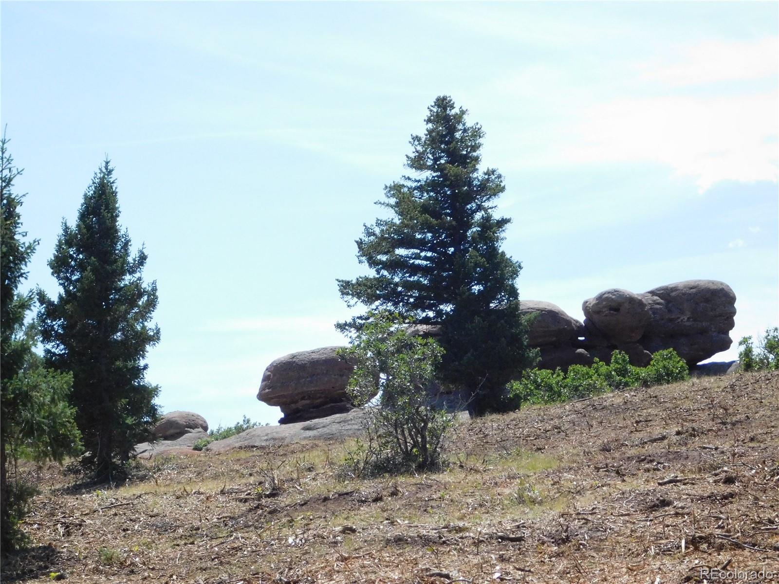 6382 Country Club Drive Larkspur CO 80118