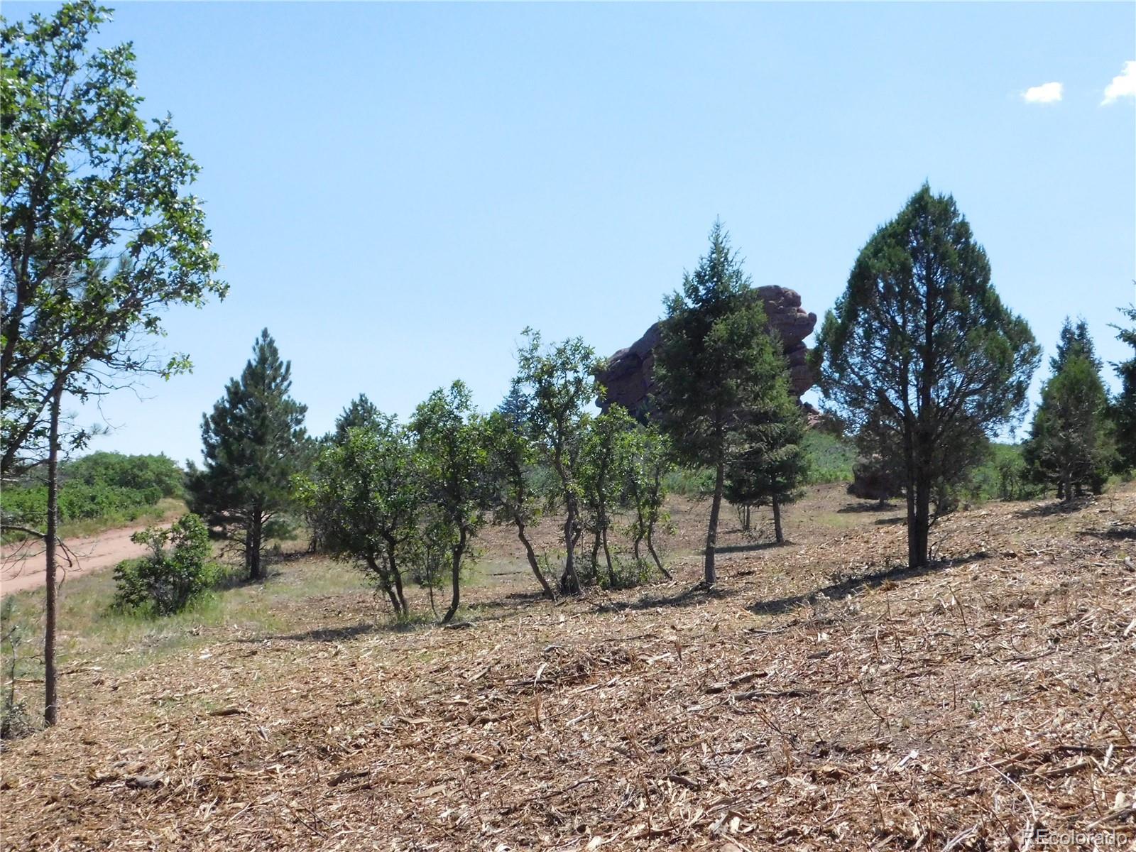 6382 Country Club Drive Larkspur CO 80118