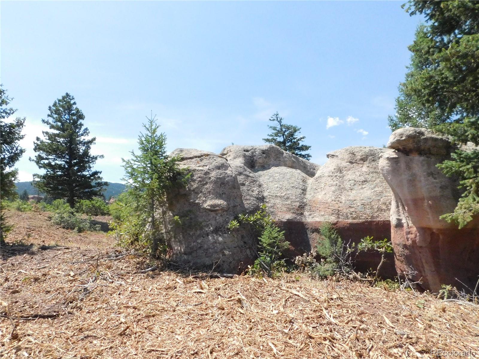 6382 Country Club Drive Larkspur CO 80118