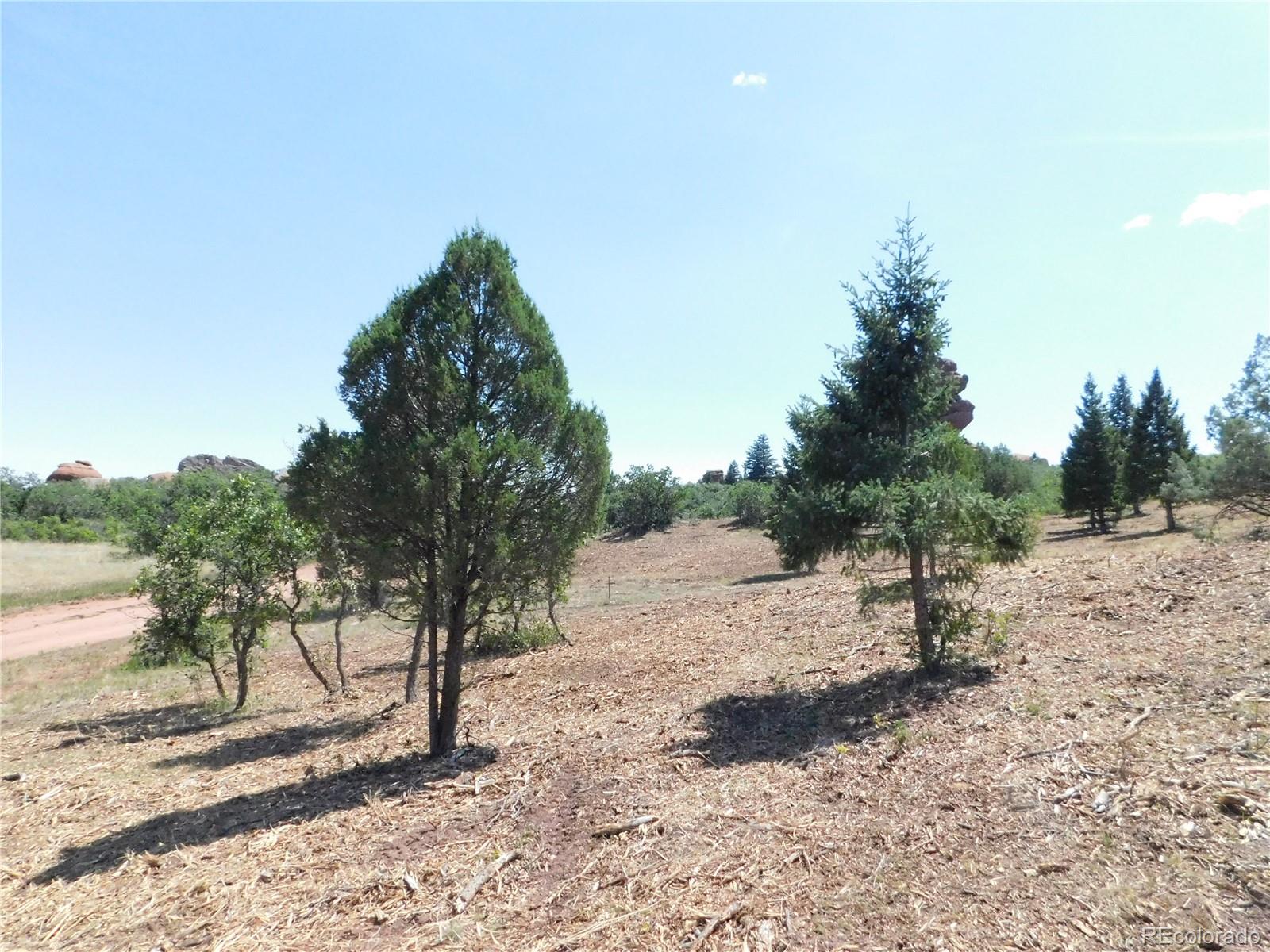 6382 Country Club Drive Larkspur CO 80118