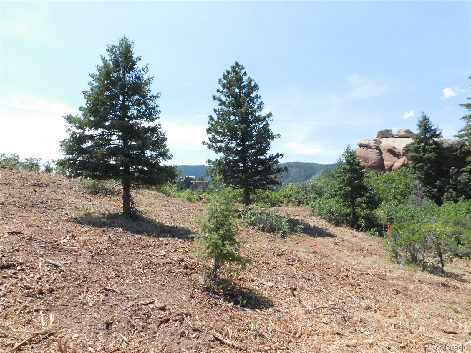 6382 Country Club Drive Larkspur CO 80118
