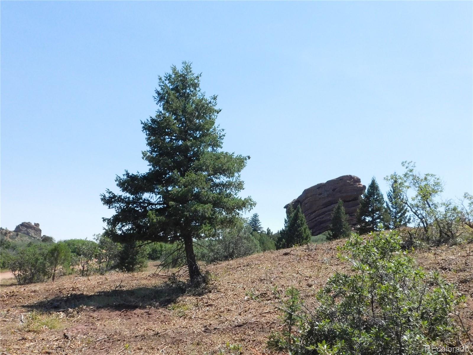 6382 Country Club Drive Larkspur CO 80118