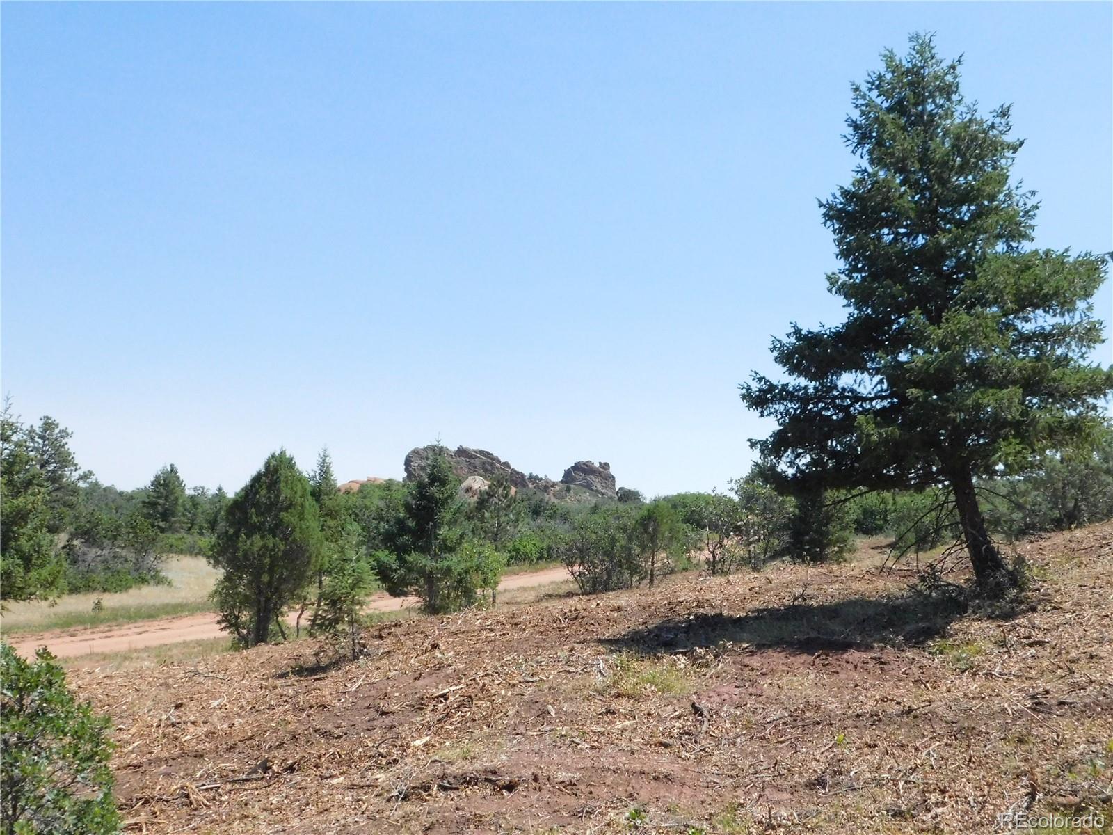 6382 Country Club Drive Larkspur CO 80118