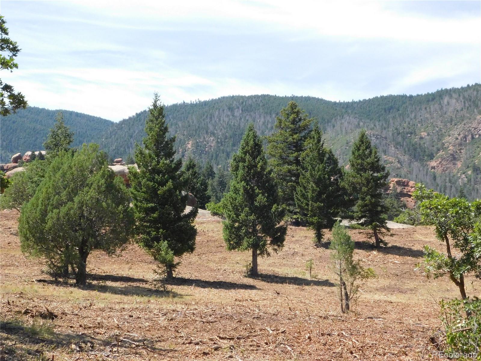6382 Country Club Drive Larkspur CO 80118