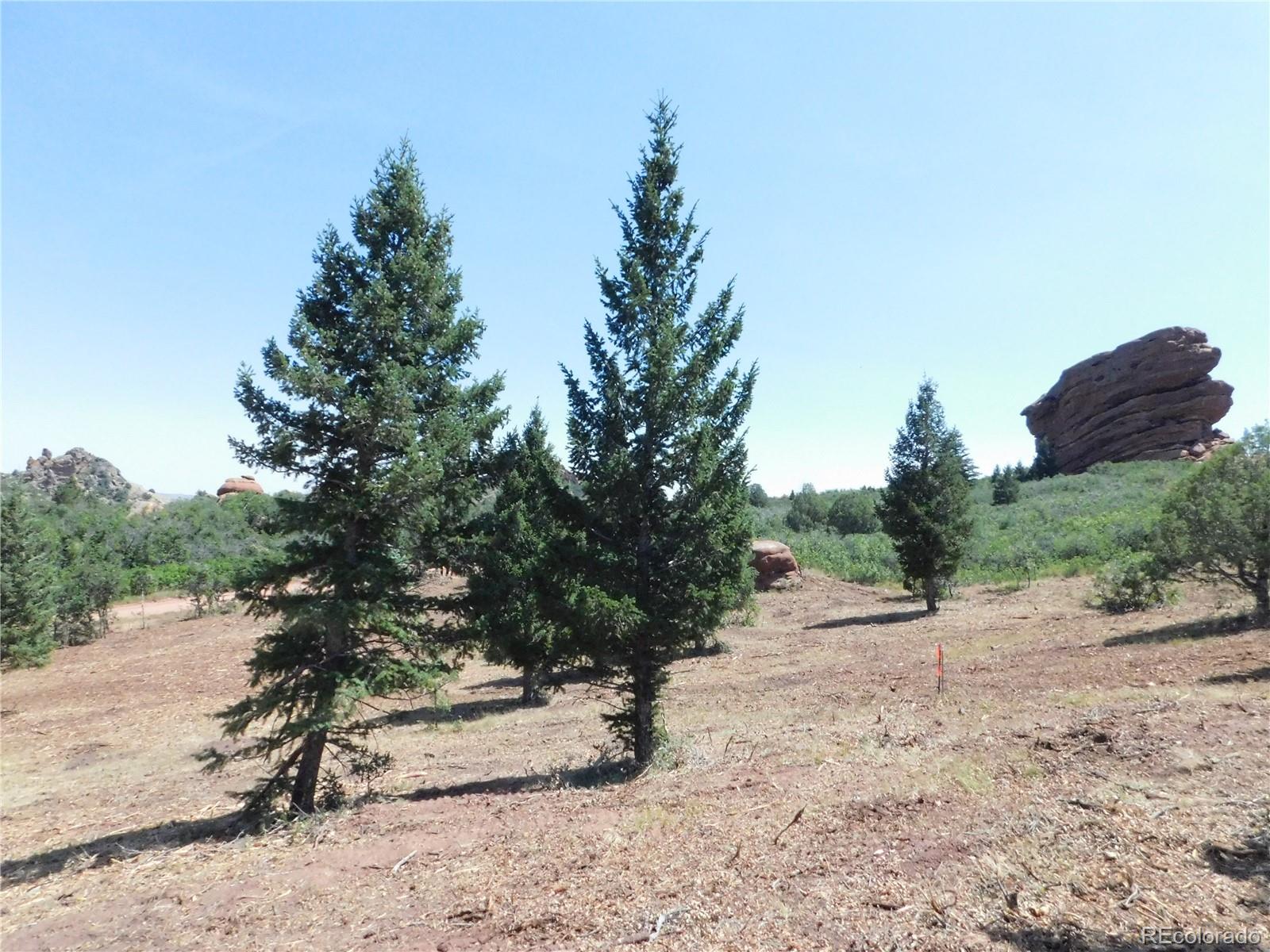 6382 Country Club Drive Larkspur CO 80118