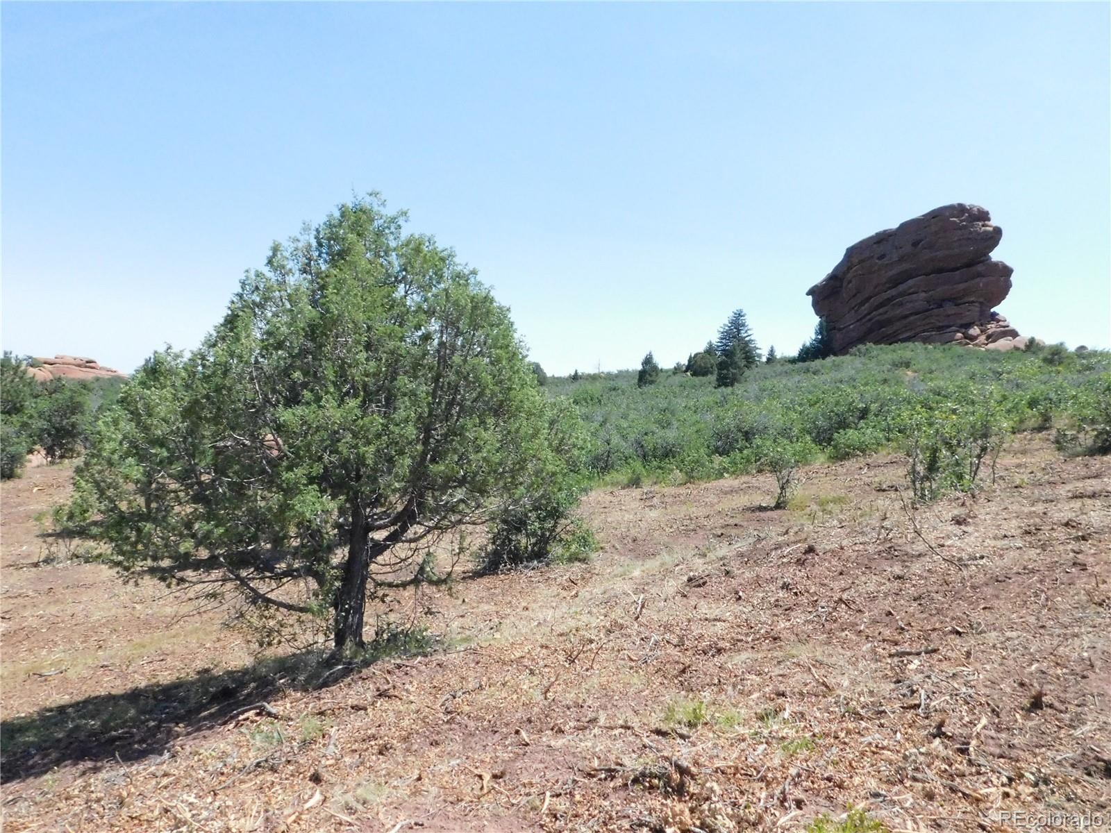 6382 Country Club Drive Larkspur CO 80118