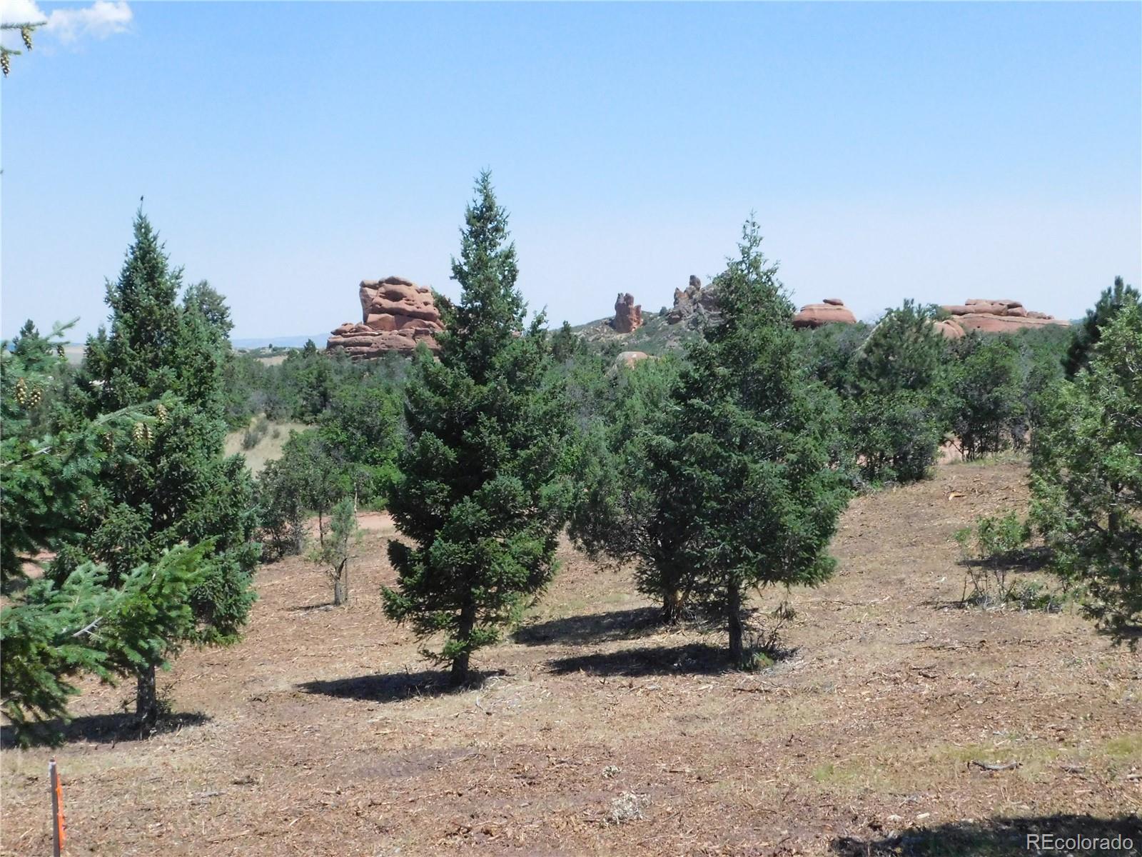 6382 Country Club Drive Larkspur CO 80118