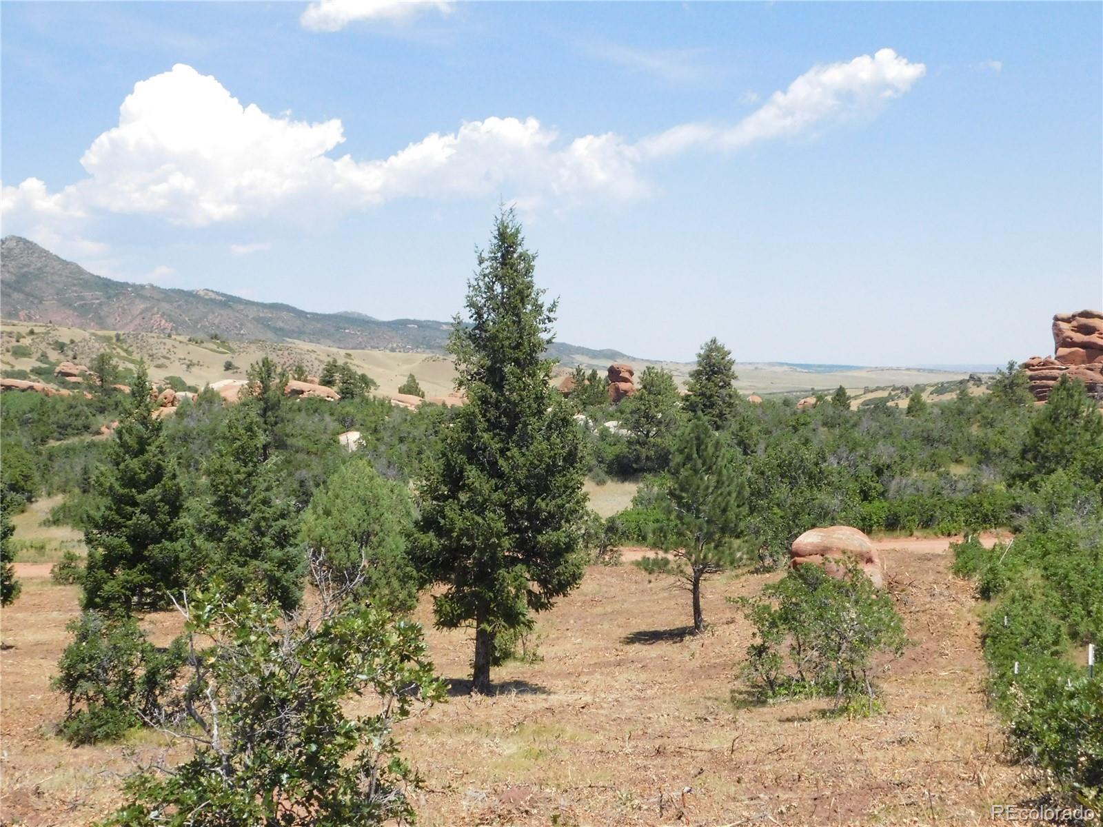 6382 Country Club Drive Larkspur CO 80118