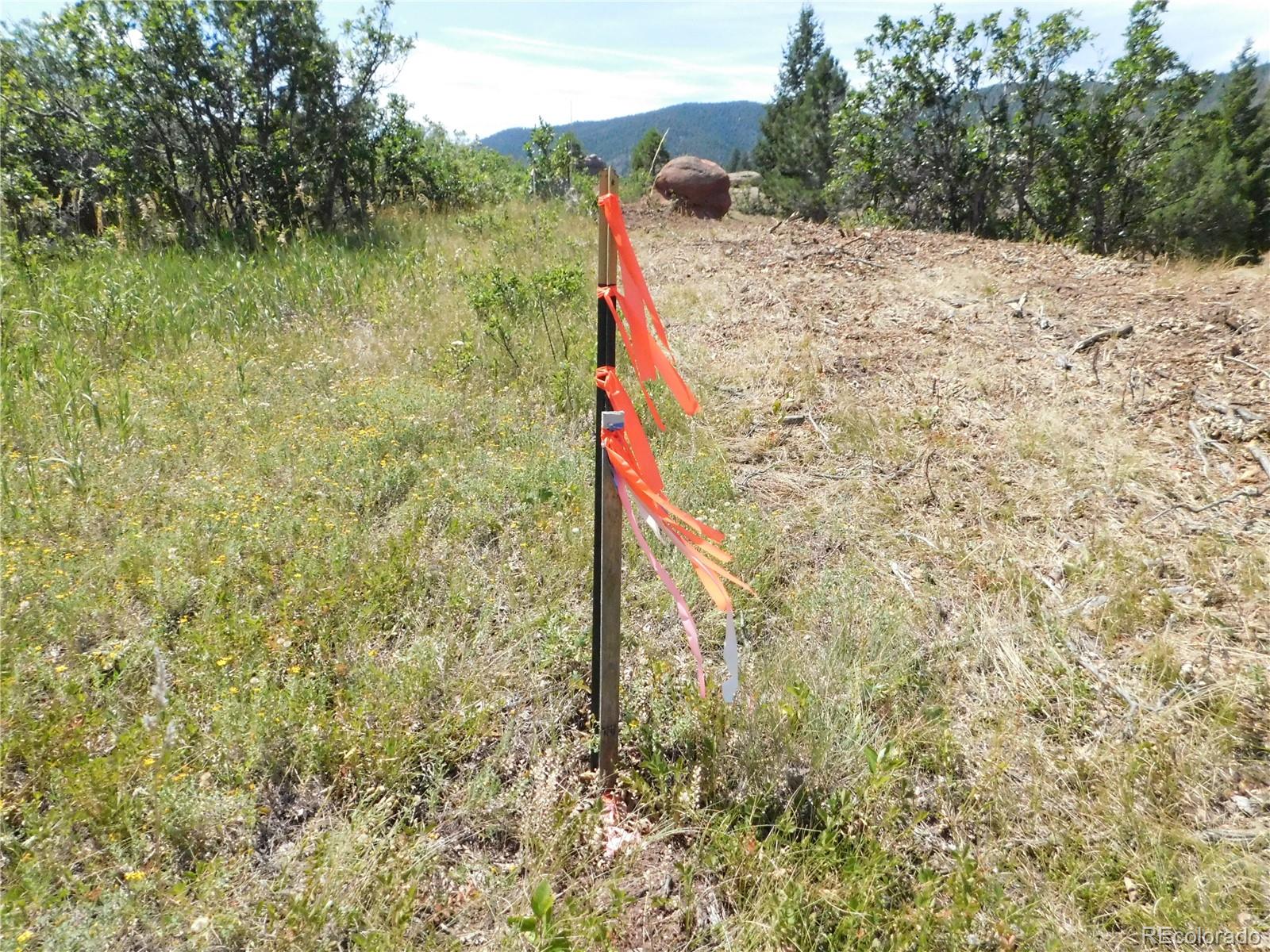6382 Country Club Drive Larkspur CO 80118