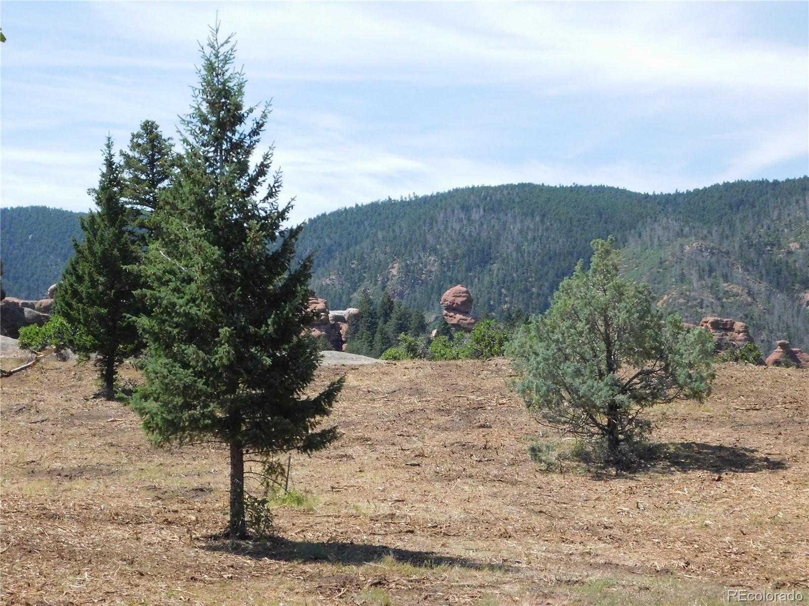 6382 Country Club Drive Larkspur CO 80118